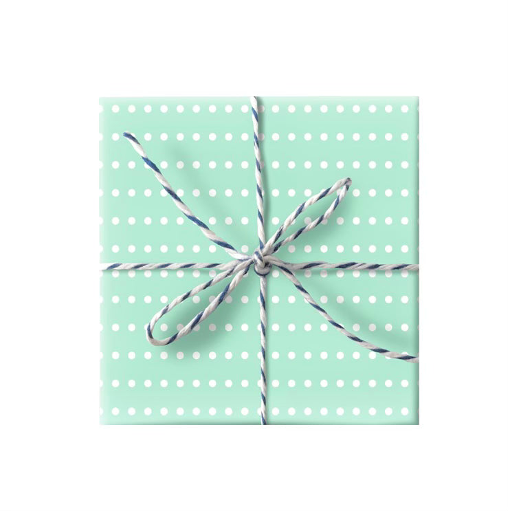 Wrapping Paper - Mint Dot