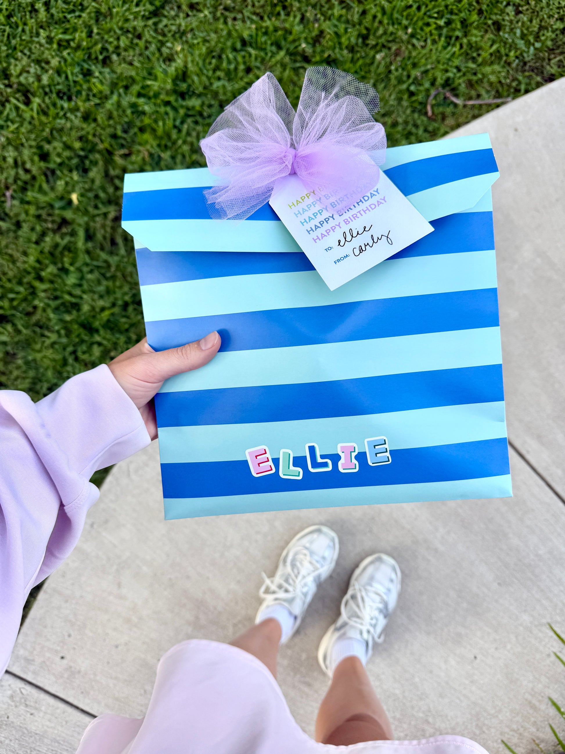 THE gWRAP BAG™ - Everyday Variety